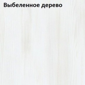 Угловой шкаф с зеркалом YR-230х1034-TR-M Риал в Тарко-Сале - tarko-sale.mebel-74.com | фото