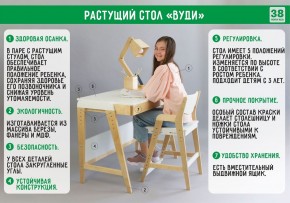 Комплект растущий стол и стул 38 попугаев «Вуди» (Серый, Без покрытия) в Тарко-Сале - tarko-sale.mebel-74.com | фото