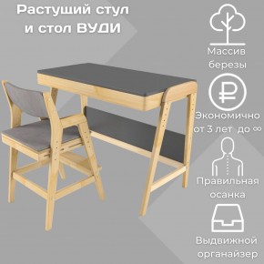 Комплект растущий стол и стул с чехлом 38 попугаев «Вуди» (Серый, Без покрытия, Серый) в Тарко-Сале - tarko-sale.mebel-74.com | фото
