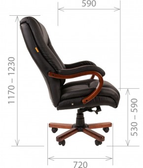 Кресло для руководителя CHAIRMAN  503 (Кожа) Черное в Тарко-Сале - tarko-sale.mebel-74.com | фото