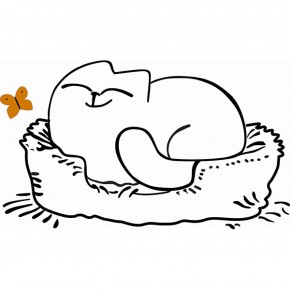 Кровать двухуровневая Кот № 900.1 ЛЕВАЯ (туя светлая/белый) в Тарко-Сале - tarko-sale.mebel-74.com | фото