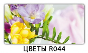 Обеденный раздвижной стол Бриз с фотопечатью Цветы R044 в Тарко-Сале - tarko-sale.mebel-74.com | фото