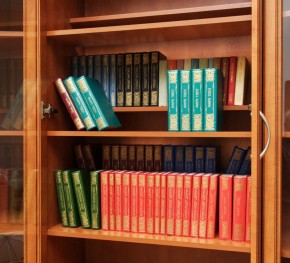 Шкаф для книг арт. 200 в Тарко-Сале - tarko-sale.mebel-74.com | фото