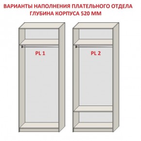 Шкаф распашной серия «ЗЕВС» (PL3/С1/PL2) в Тарко-Сале - tarko-sale.mebel-74.com | фото
