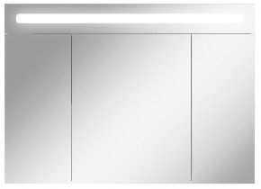 Шкаф-зеркало Аврора 100 с подсветкой LED Домино (DV8012HZ) в Тарко-Сале - tarko-sale.mebel-74.com | фото