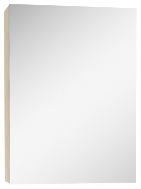 Шкаф-зеркало Мечта 40 Дуб сонома АЙСБЕРГ (DM2317HZ) в Тарко-Сале - tarko-sale.mebel-74.com | фото