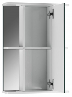Шкаф-зеркало Норма 2-50 правый АЙСБЕРГ (DA1608HZ) в Тарко-Сале - tarko-sale.mebel-74.com | фото