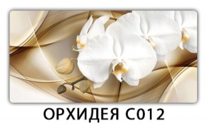 Стол раздвижной Трилогия с фотопечатью Орхидея C012 в Тарко-Сале - tarko-sale.mebel-74.com | фото
