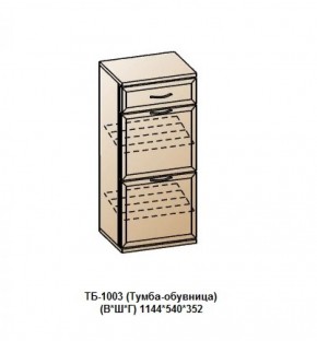 ТБ-1003 (Тумба-обувница) в Тарко-Сале - tarko-sale.mebel-74.com | фото